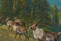 Carl Clemens Moritz Rungius (American, 1869-1959) Mountain Caribou