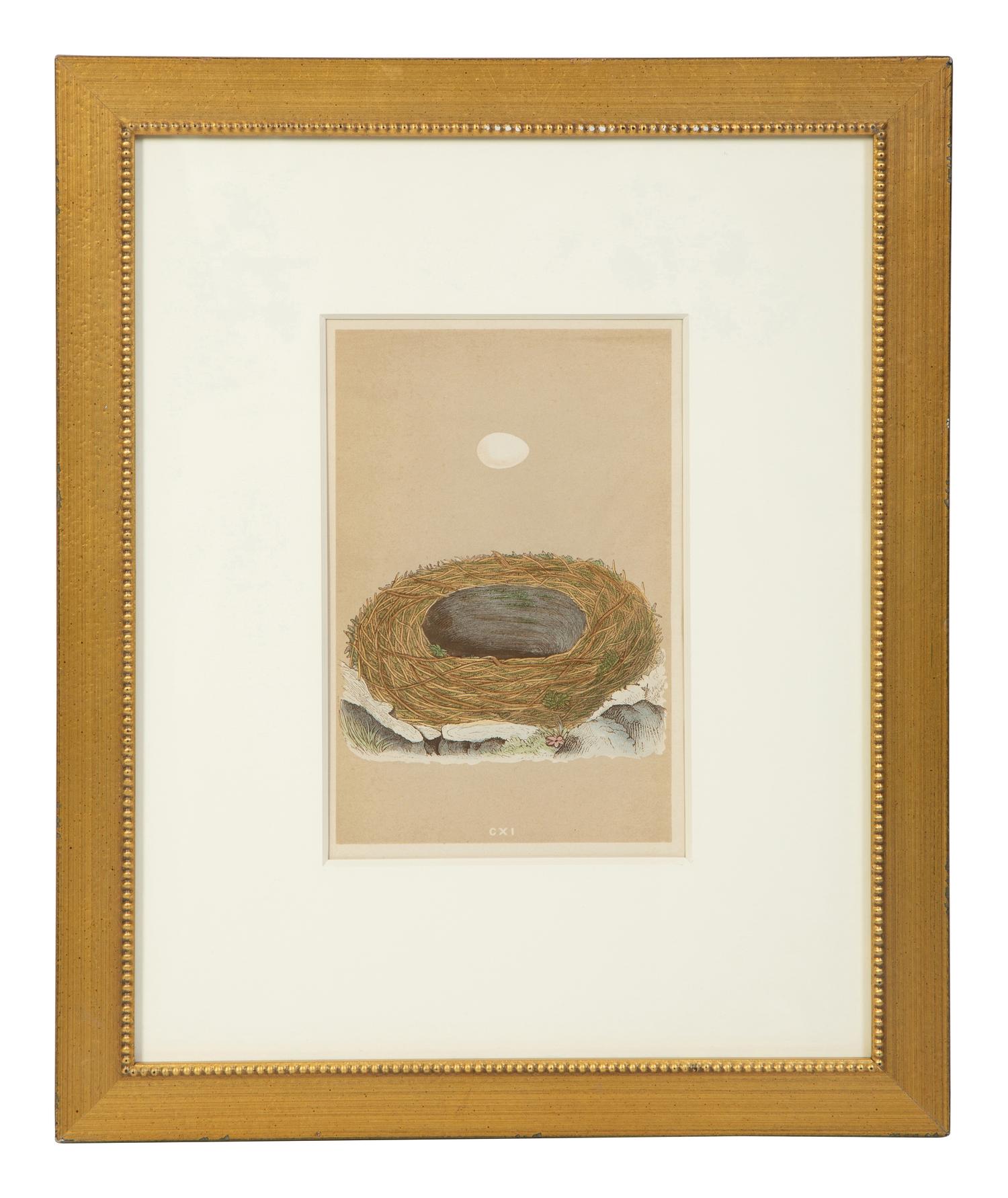 A Set of Six Prints from A Natural History of the Nests and Eggs of British Birds , by Rev. Francis O. Morris, B.A. (Irish, 1810-1893)