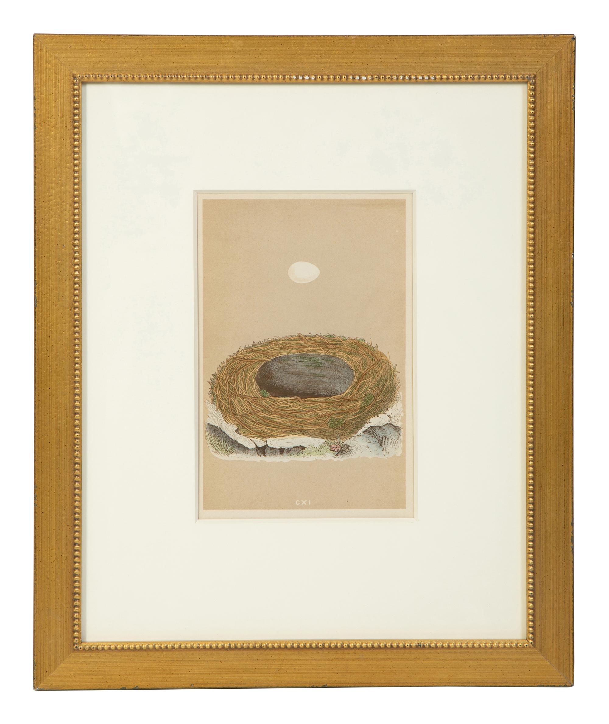 A Set of Six Prints from A Natural History of the Nests and Eggs of British Birds , by Rev. Francis O. Morris, B.A. (Irish, 1810-1893)