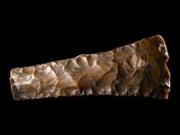 A Neolithic Flint Thick-Butted Axe