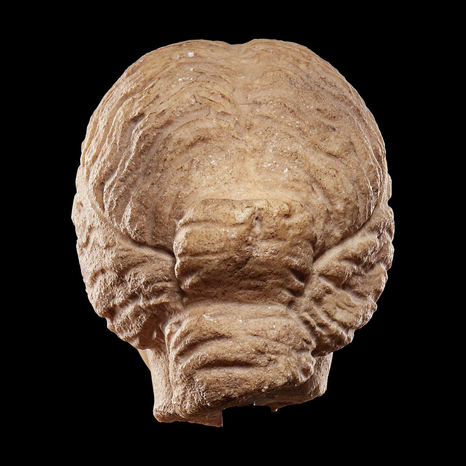 A Roman Marble Portrait Head of a Woman
