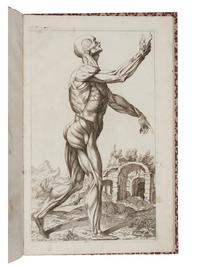 [VESALIUS]. [BONAVERA, Domenico (1653-1731). Notomie de Titiano. Bologna, c. 1670].