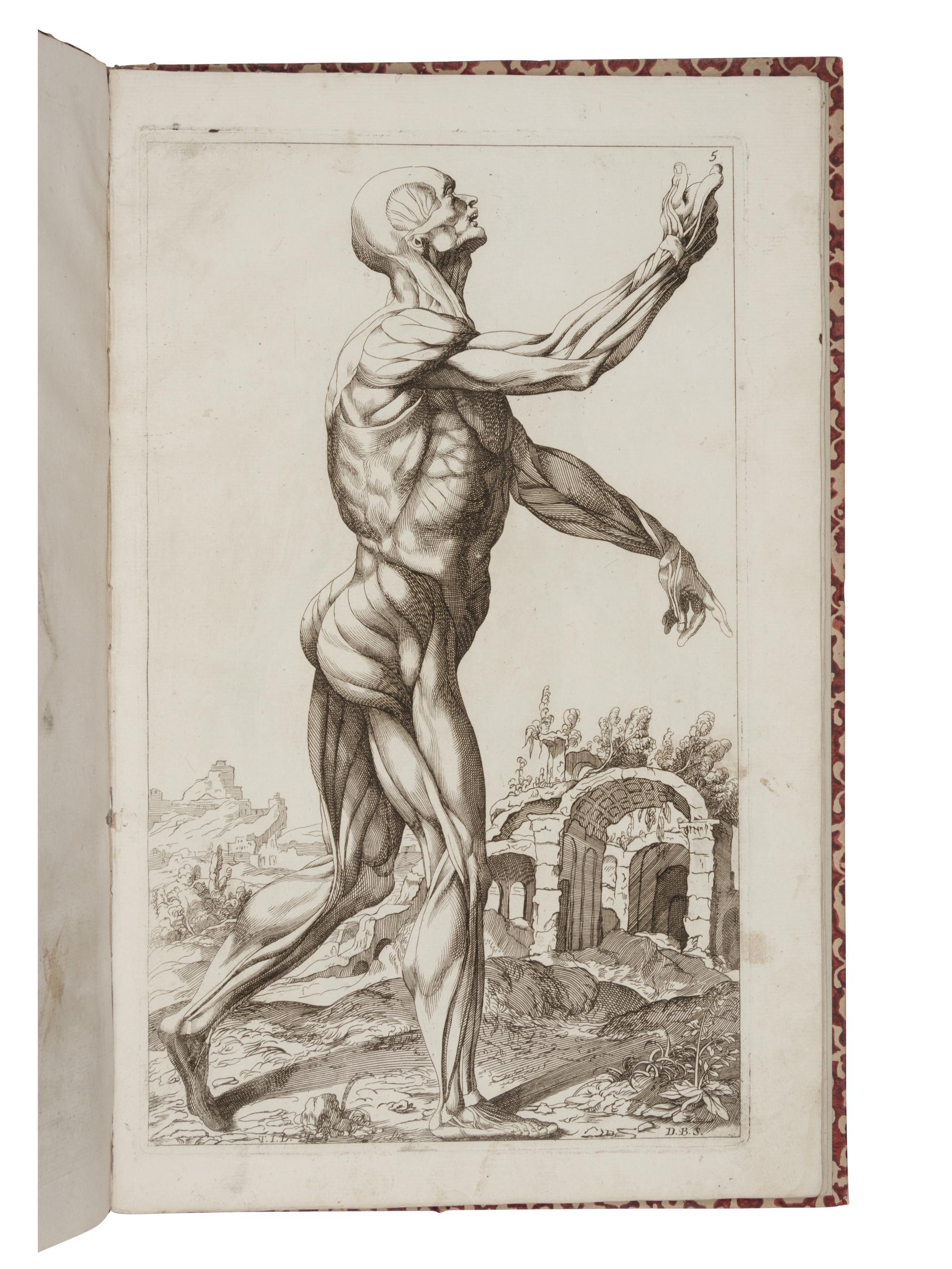 [VESALIUS]. [BONAVERA, Domenico (1653-1731). Notomie de Titiano. Bologna, c. 1670].