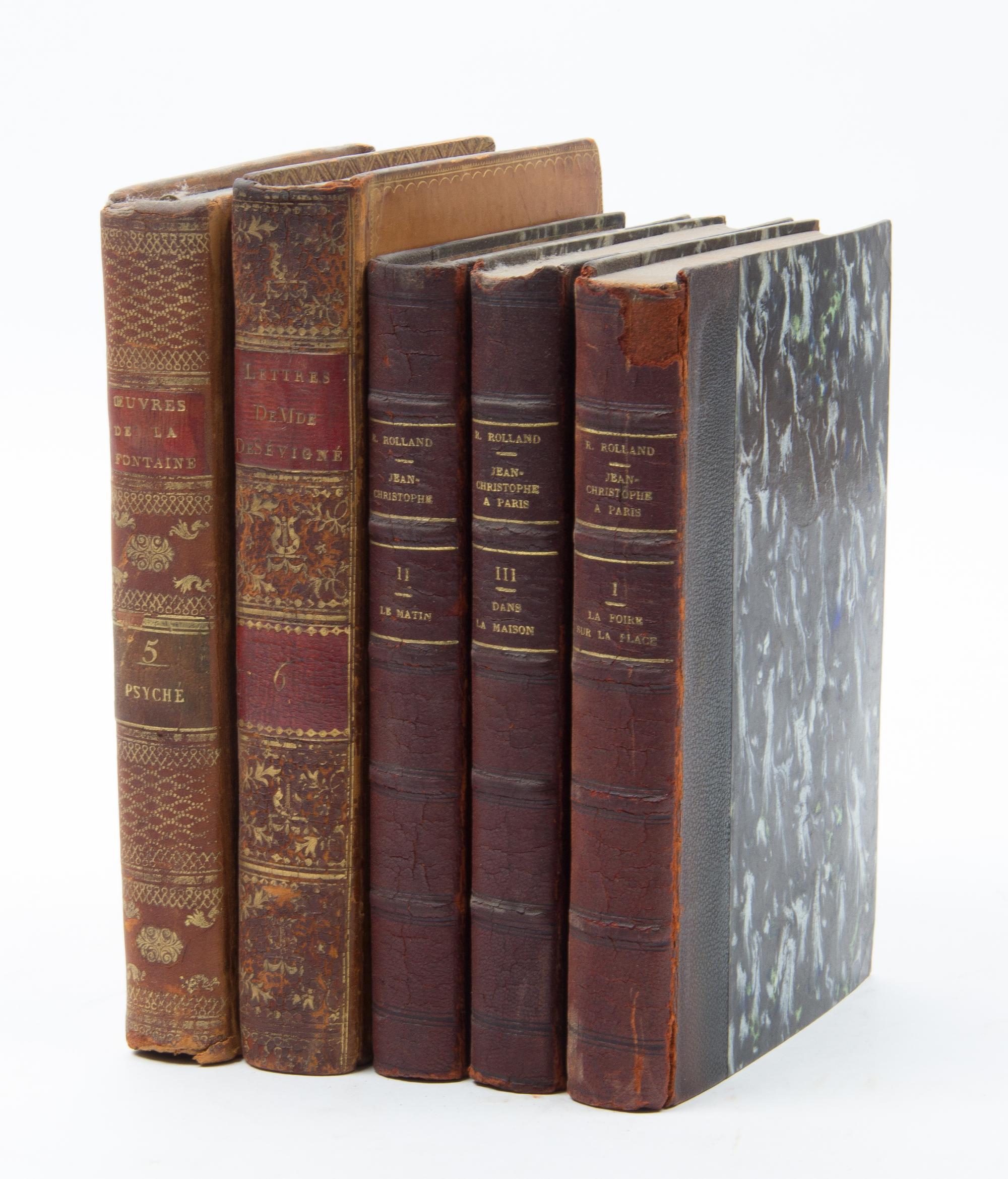 A Collection of Leather Bound Books in French
