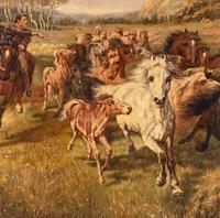 Wild Horses