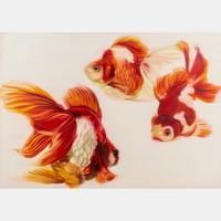 Goldfish Trio