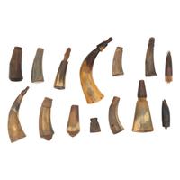 Lot of 11 Small Powder Horns