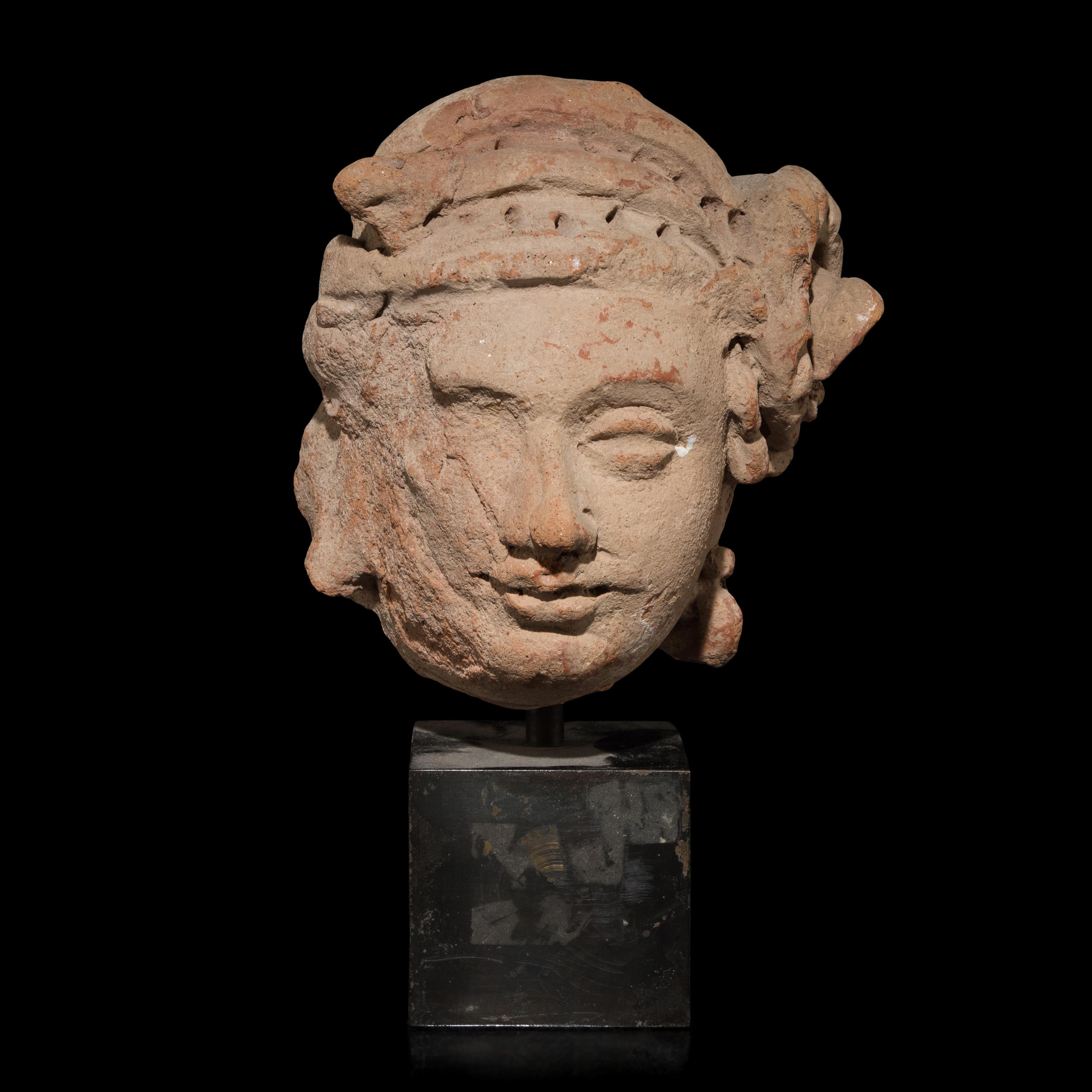 A Gandharan Terracotta Head 犍陀羅灰陶泥塑佛頭