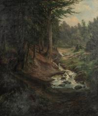 Forest Serenity