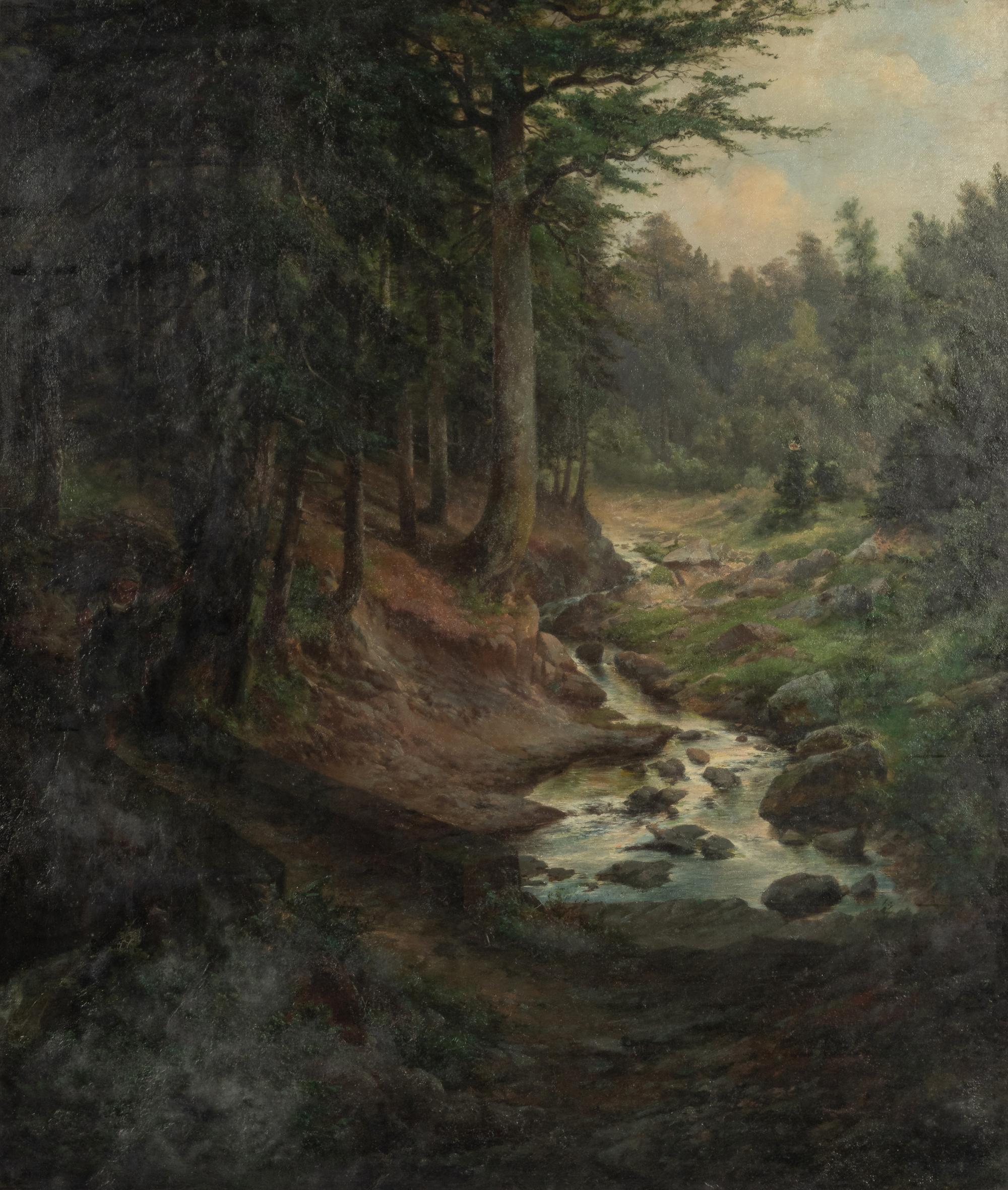 Forest Serenity