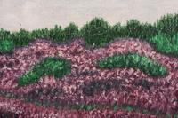Two Figures in a Lavender Field