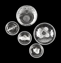 A Group of Five Lalique Table Articles