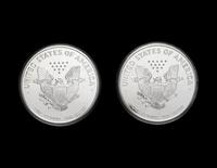 [PRIVATE ISSUE] Two One Pound Silver Proof Rounds