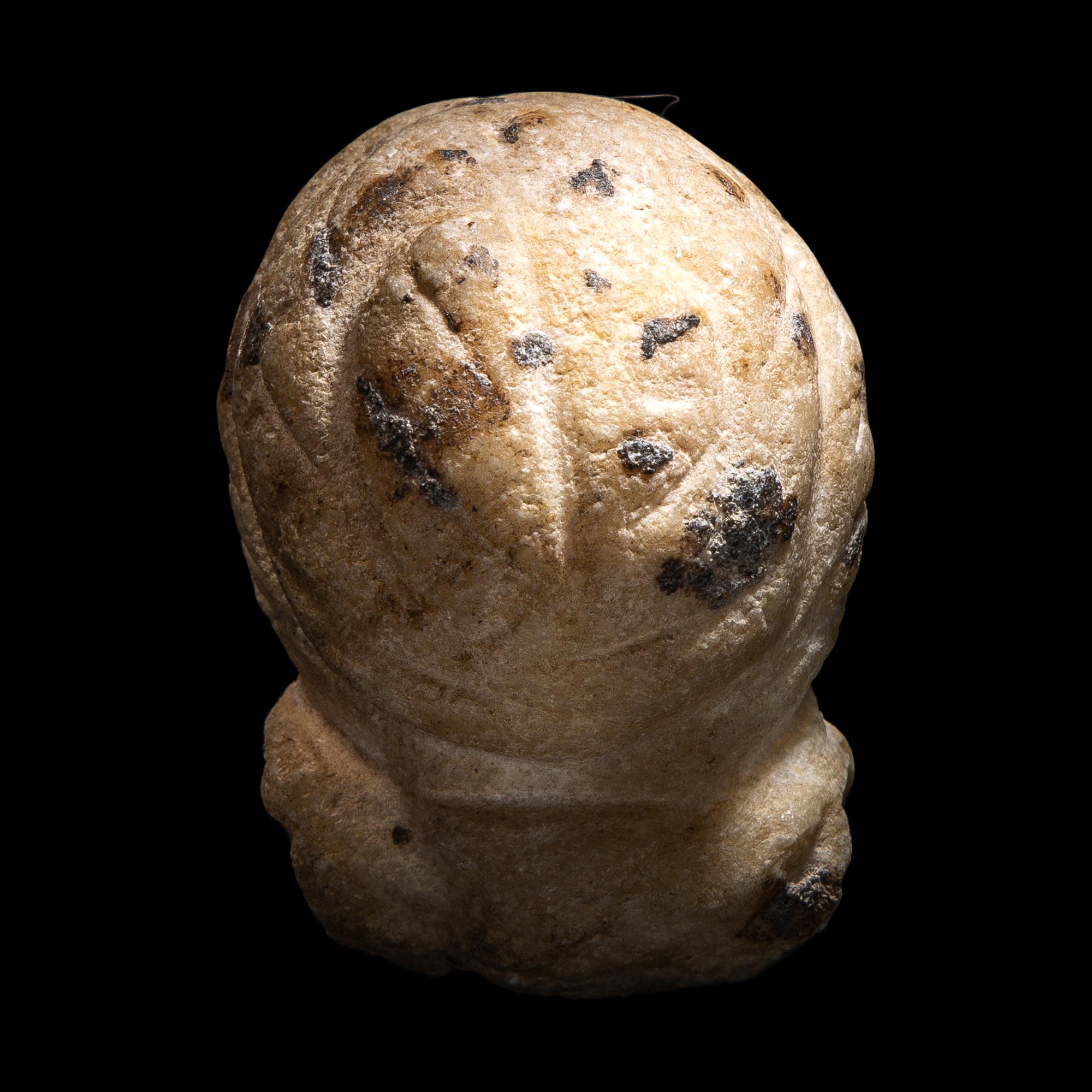 A Roman Marble Head of a Woman