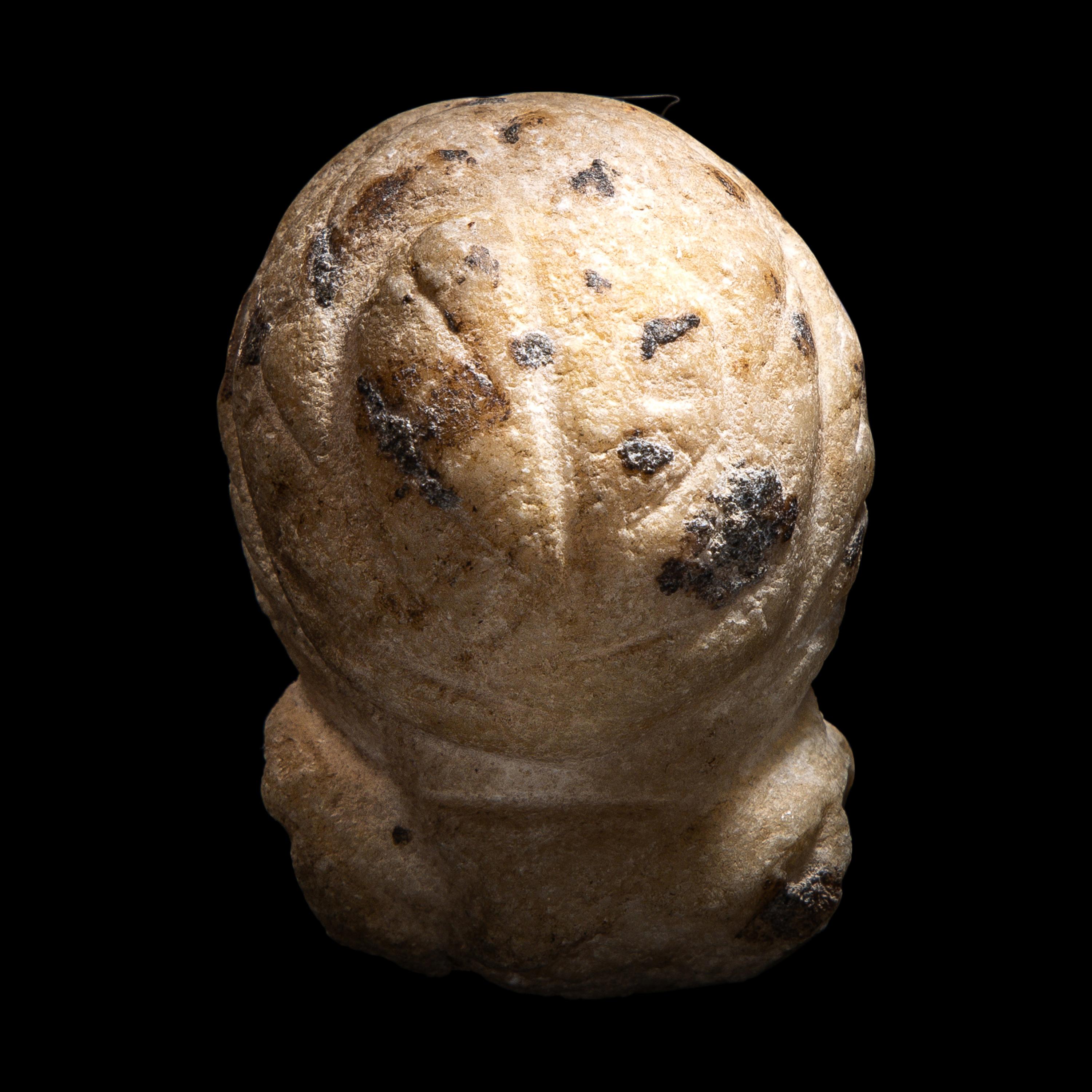 A Roman Marble Head of a Woman