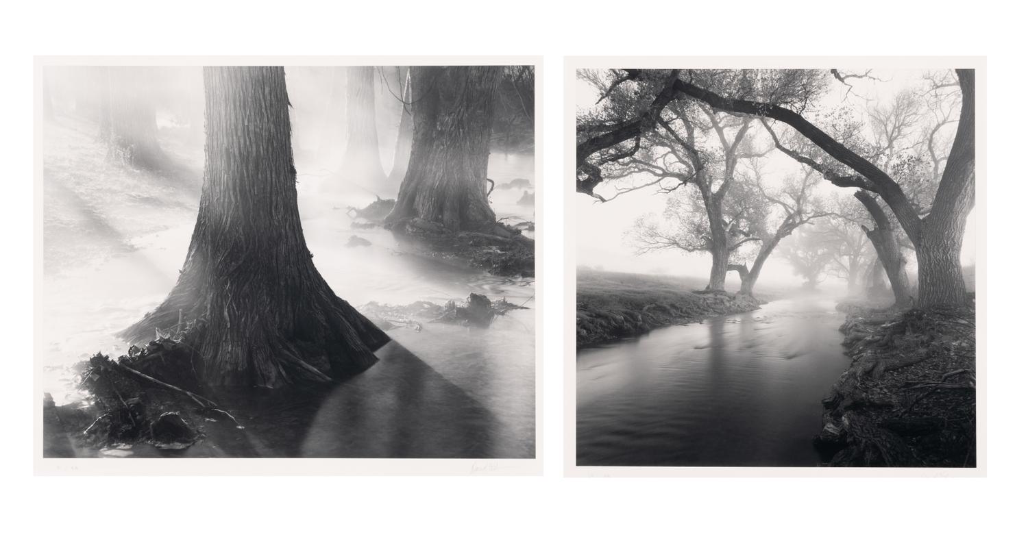 Untitled (Two Works)