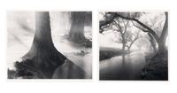 Untitled (Two Works)
