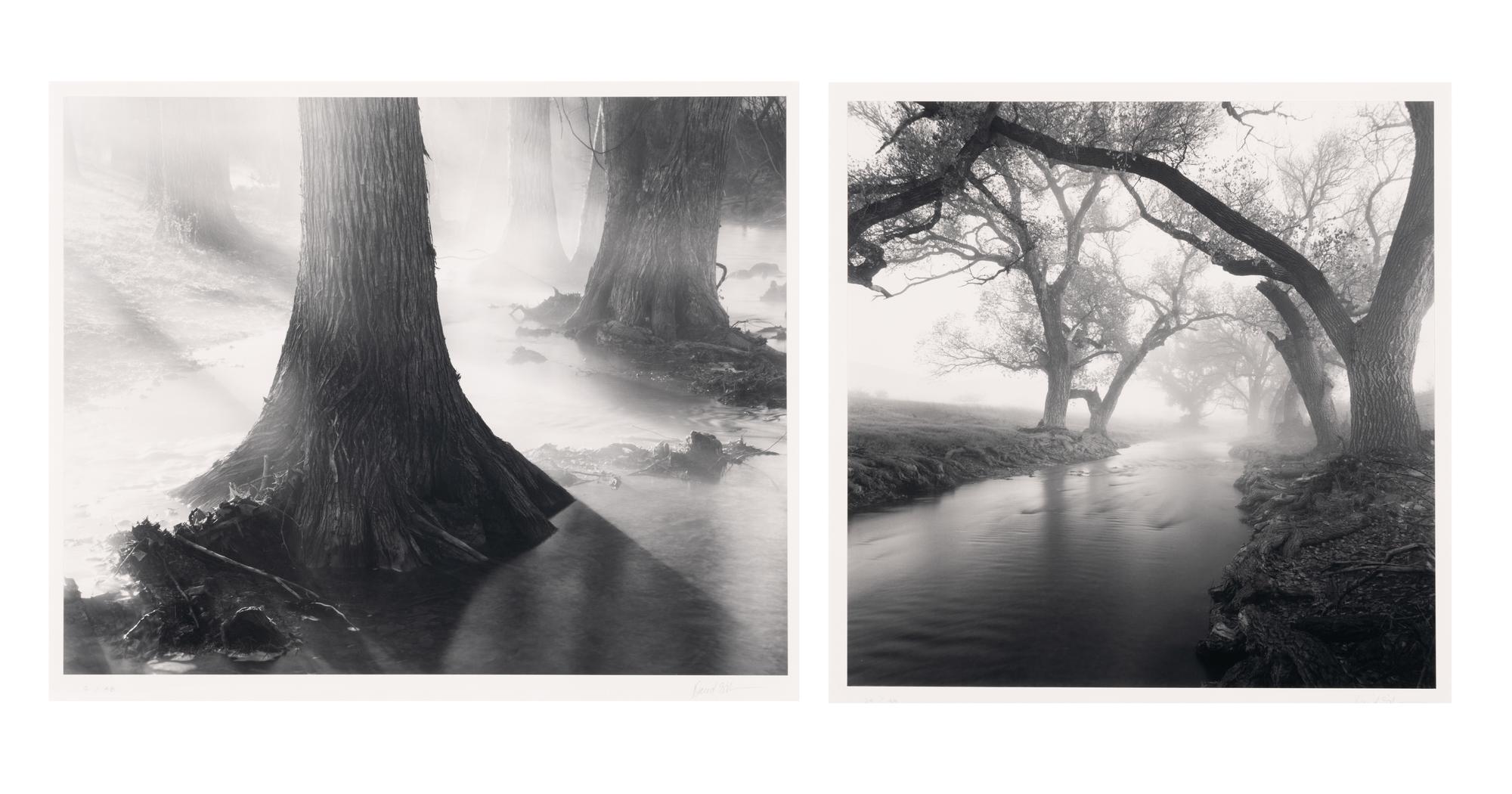 Untitled (Two Works)