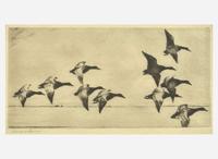 [Prints] Benson, Frank W.: Group of 2 Sporting Prints