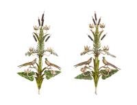 A Pair of Six-Light Tole Peinte Wall Sconces