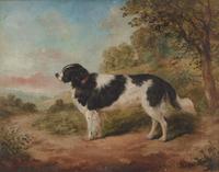 Edwin Frederick Holt (British, 1830–1912) - Portrait of a Black and White Spaniel