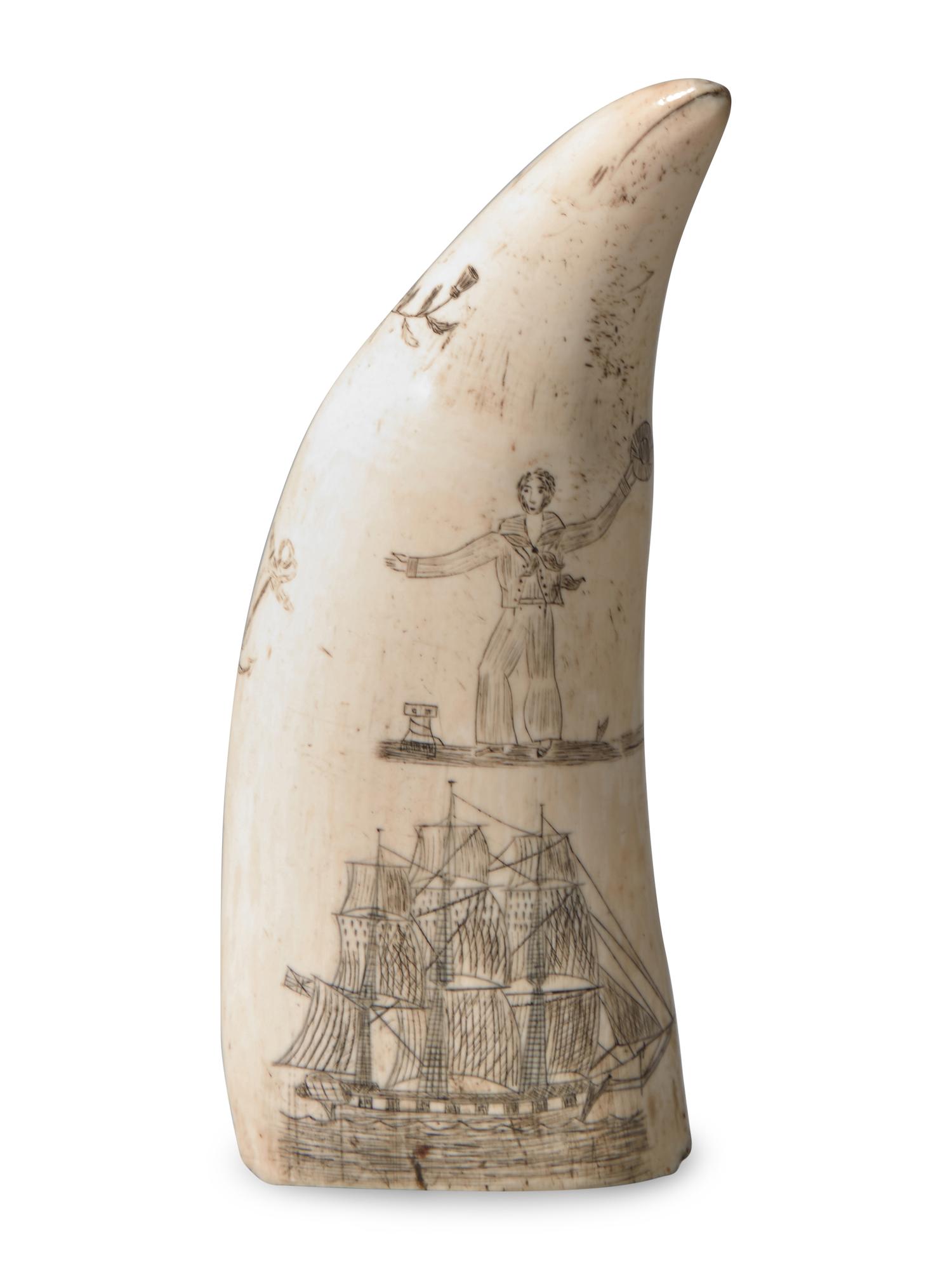 A Scrimshaw Whale Tooth