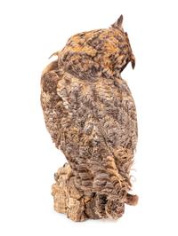 A Taxidermy Owl