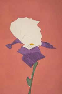 Flower at Giverny, edition 119/120
