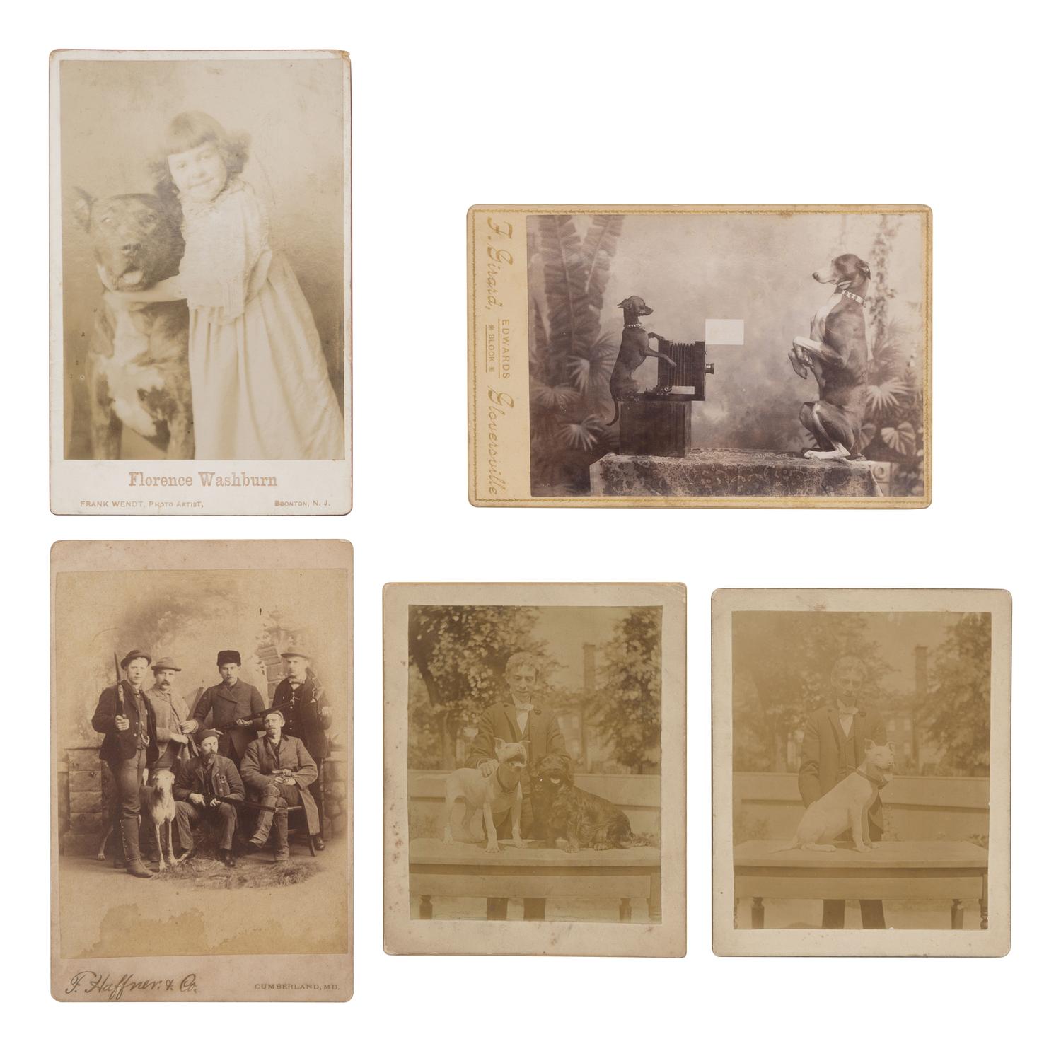 [EARLY PHOTOGRAPHY]. PAWS on parade! A collection of photographs featuring felines and canines.