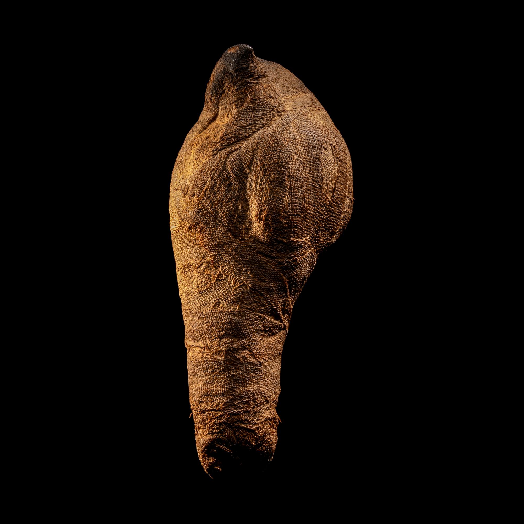 An Egyptian Mummified Falcon