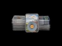 A Group of Thirteen MS70 Graded Gold Eagle $5 1/10 oz. Gold Coins