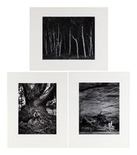 Ansel Adams (1902-1984) Portfolio VI, 1974