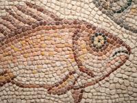 A Roman Mosaic Panel of a Fish