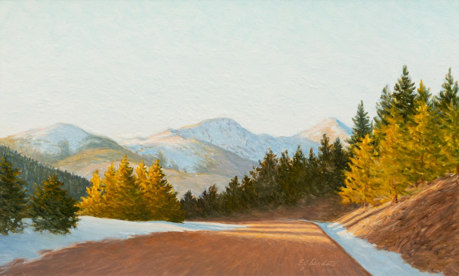Late Afternoon Light on the Road to Bonanza (Colorado)