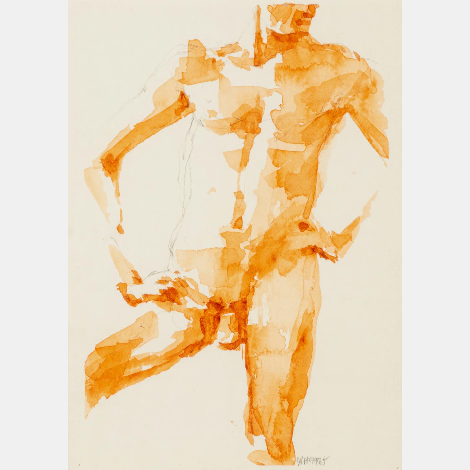 Male Torso