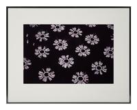 A group of five photographs ( Winter Plow; Daisy Dock; Bay Channel; Farm; Overplow )