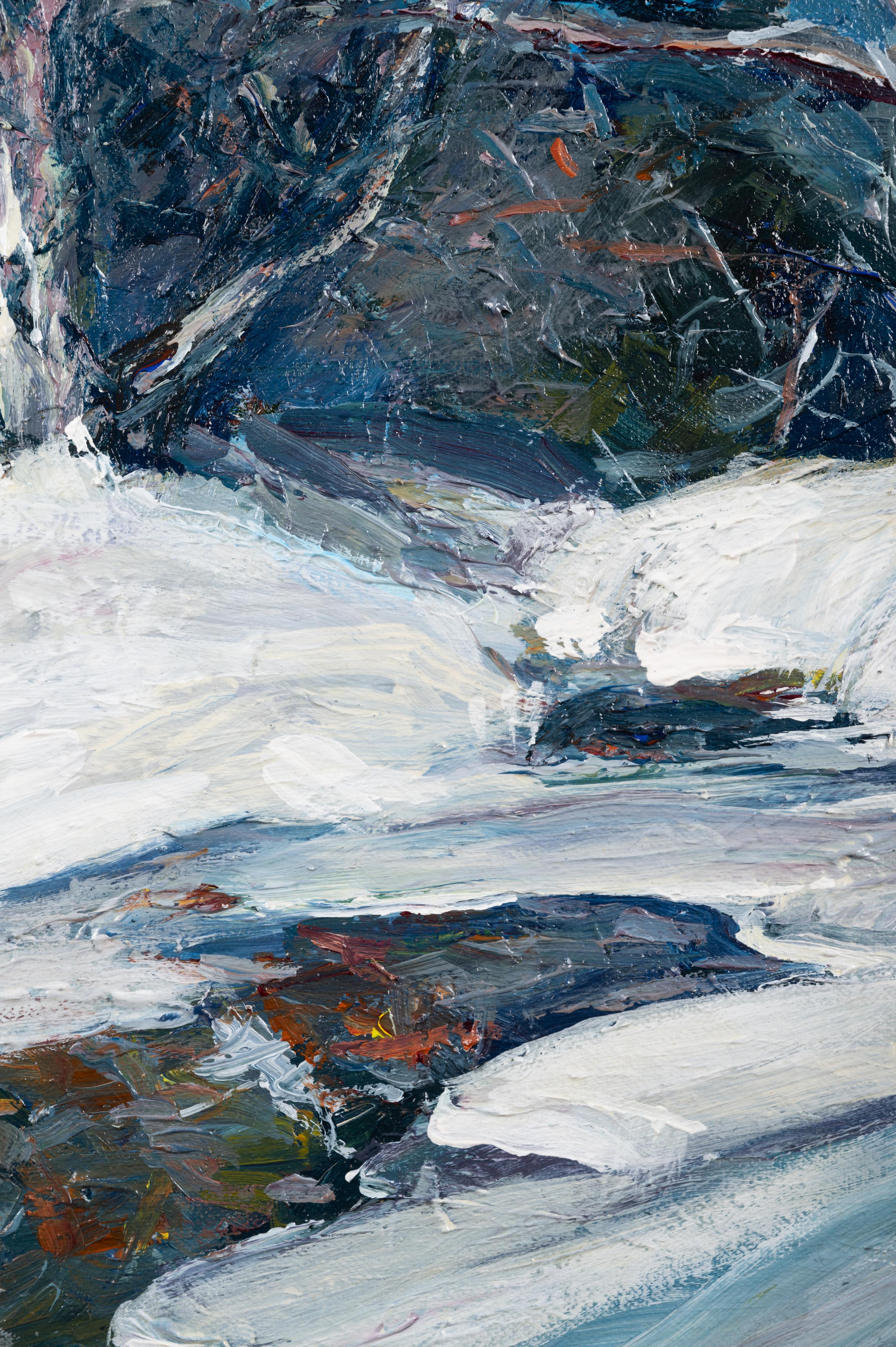 Edge of Forest