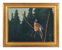 Robin