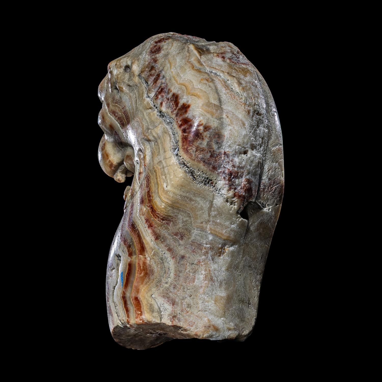 A Roman Alabaster Trapezophoros Fragment in the Form of a Panther