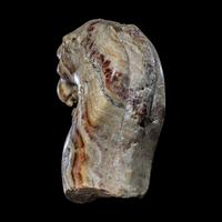 A Roman Alabaster Trapezophoros Fragment in the Form of a Panther