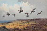 Pheasants in Flight