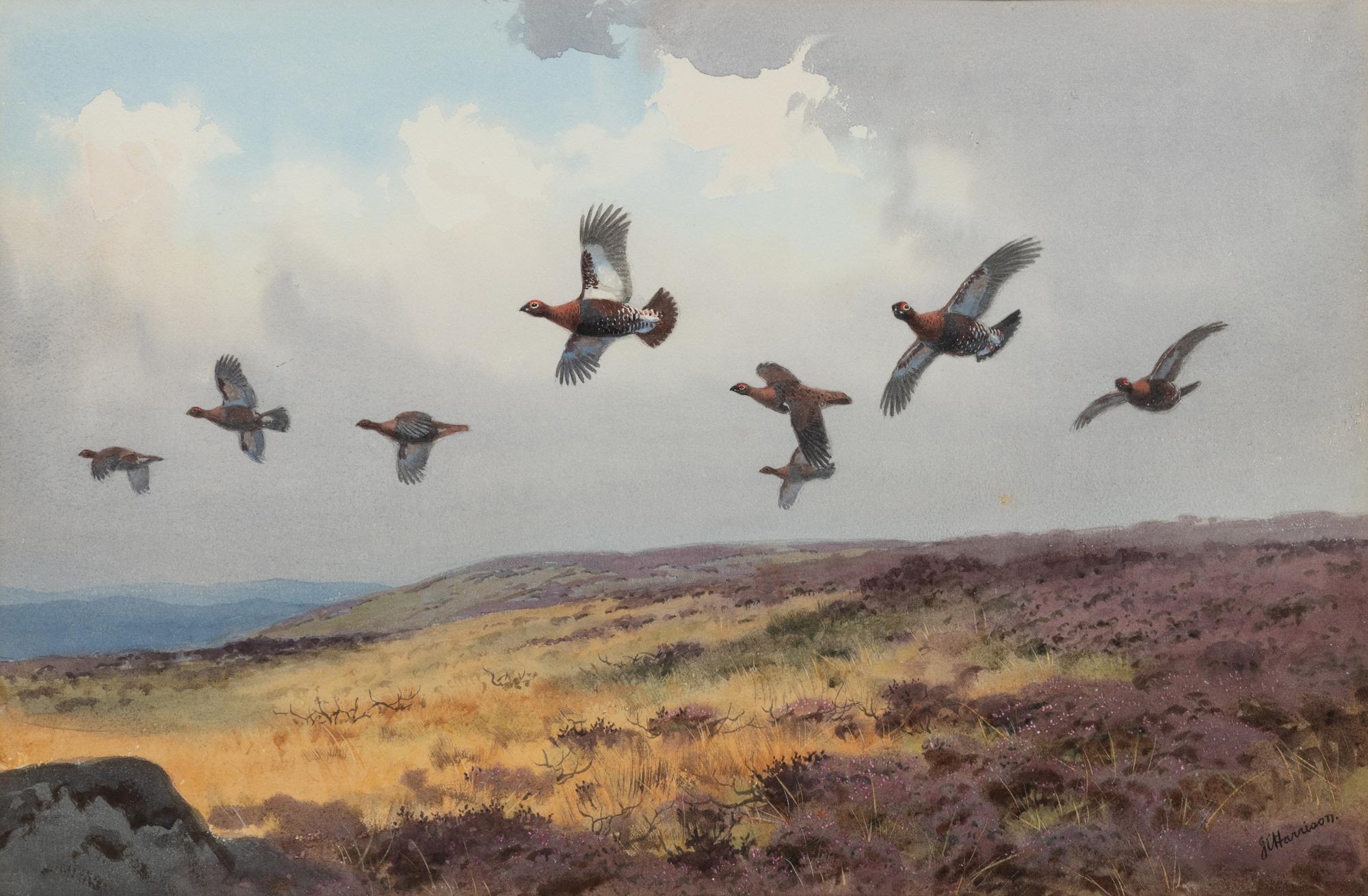 Pheasants in Flight