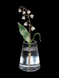 An Important Cartier Carved Rock Crystal, Aventurine and Moonstone Lily of the Valley Flower Study