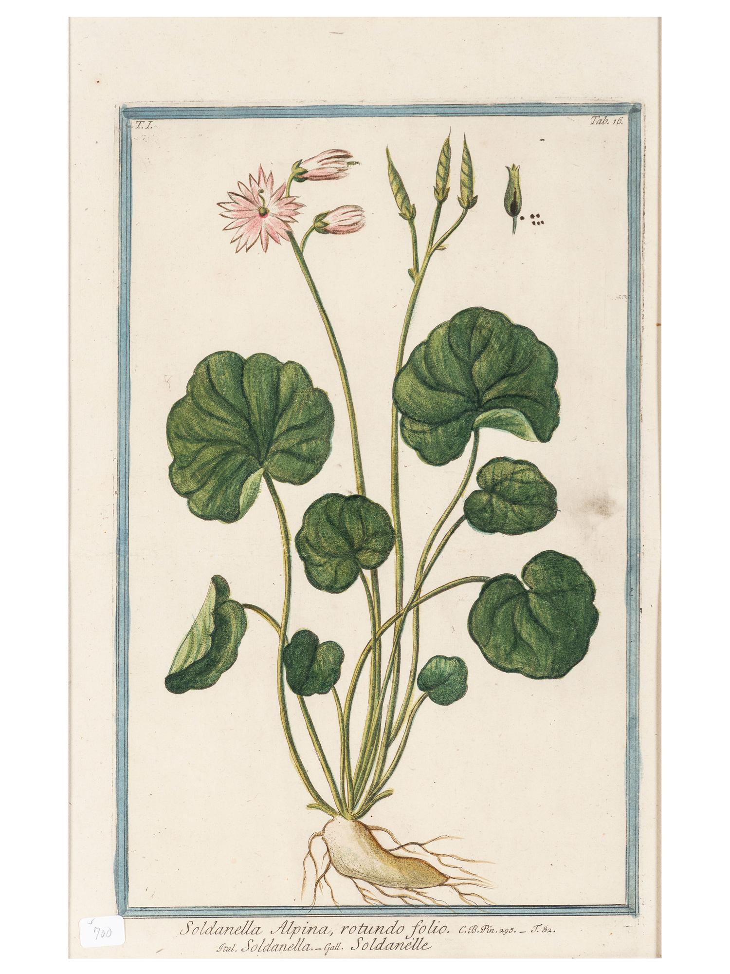 Giorgio Bonelli (Italian, 1724-1782)