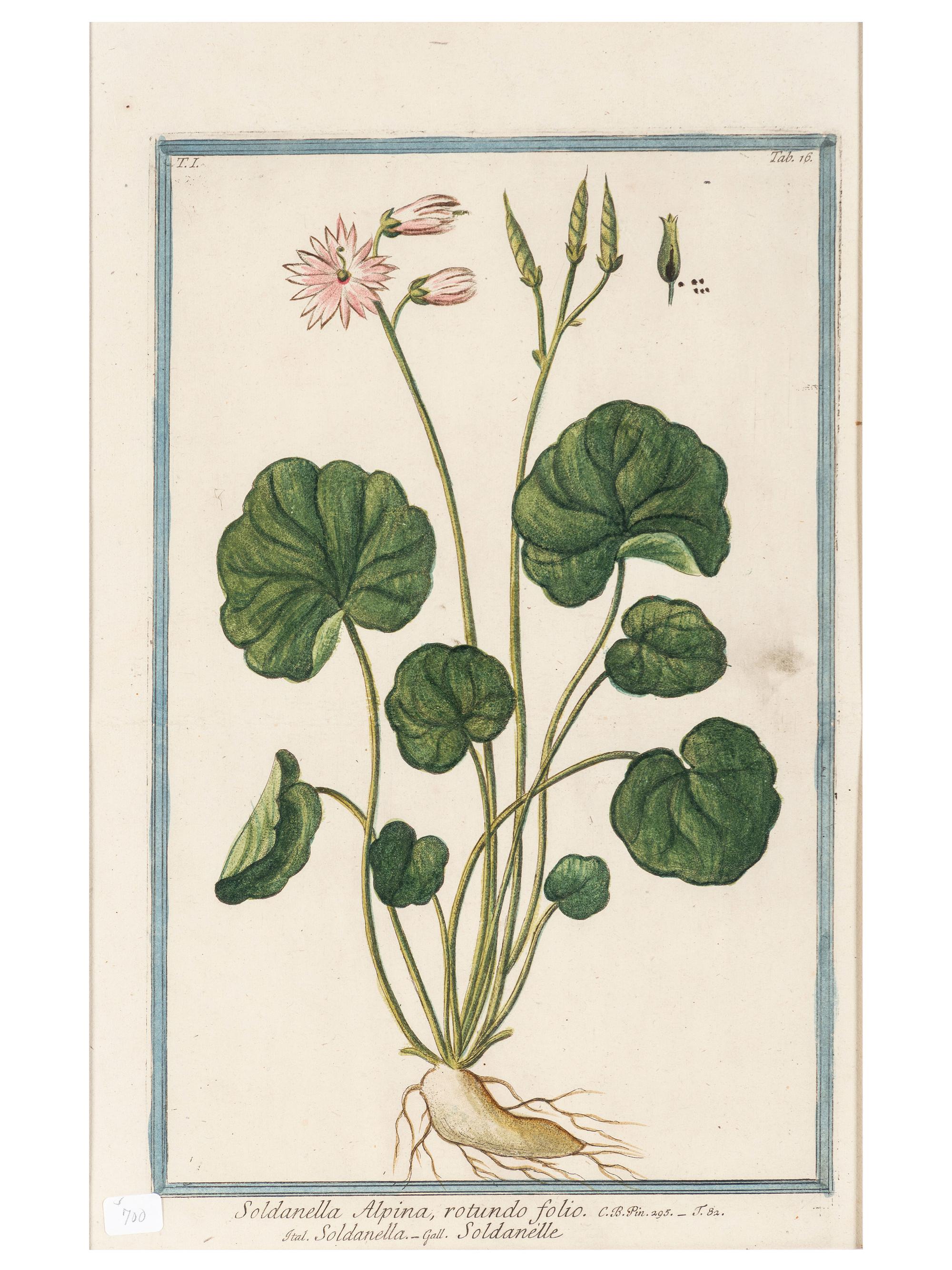 Giorgio Bonelli (Italian, 1724-1782)