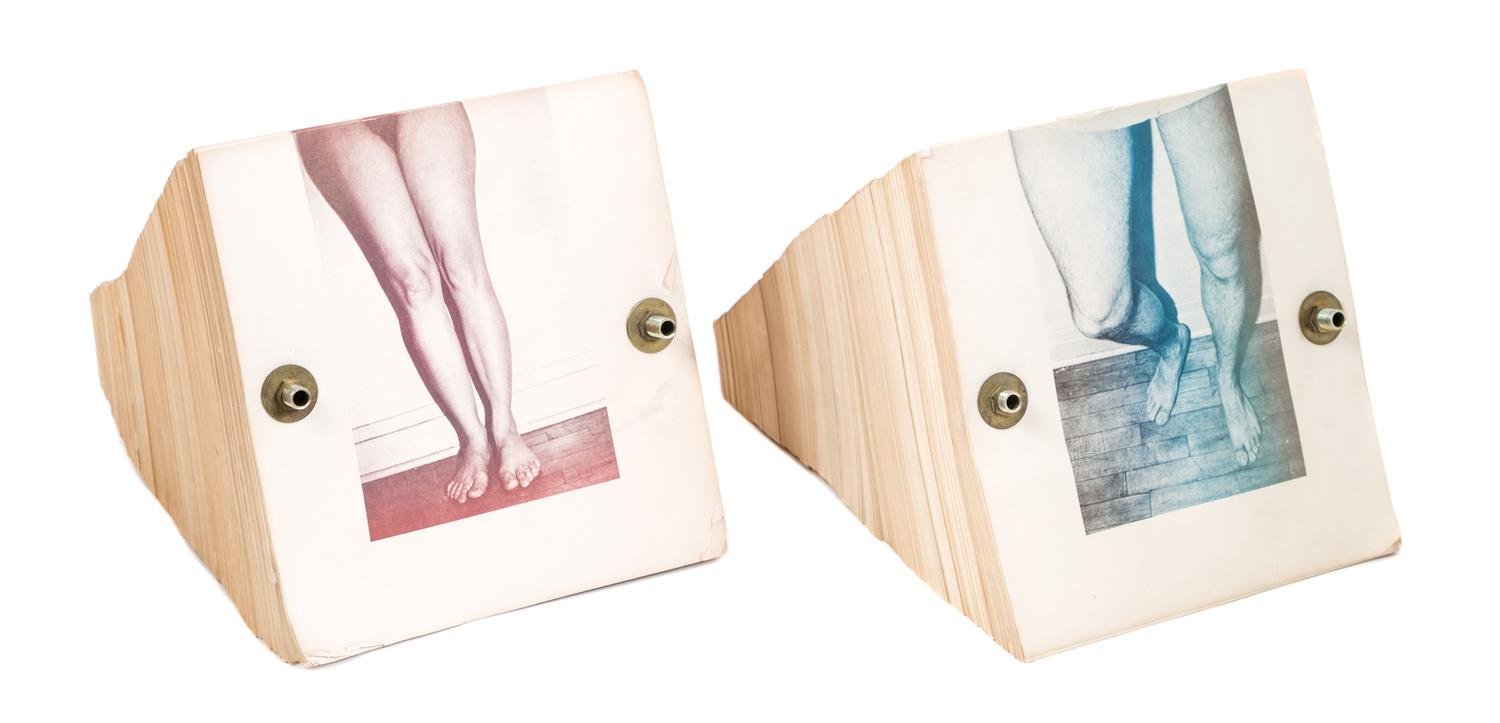 Artist Unknown, (American, 20th century), His and Hers Legs (diptych)