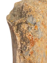 (History) A group of materials relating to dinosaurs, comprising: