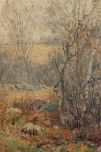 Spring Scene