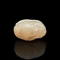 A finely-carved Chinese white jade snuff bottle 白玉鼻烟壶 18th/19th century ???????