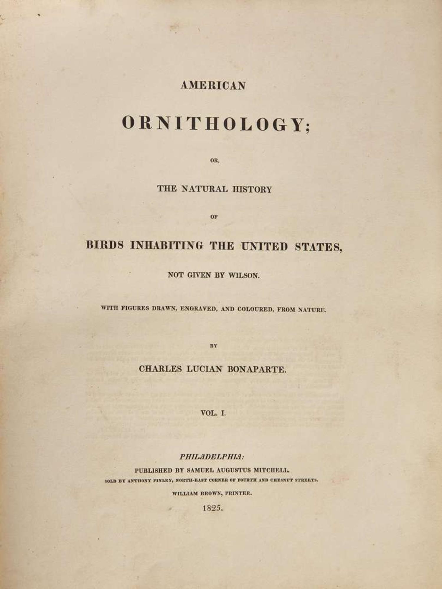 [Natural History] Bonaparte, Charles Lucian, and John James Audubon, et al.: American Ornithology; or, The Natural History of Birds Inhabiting the United States...